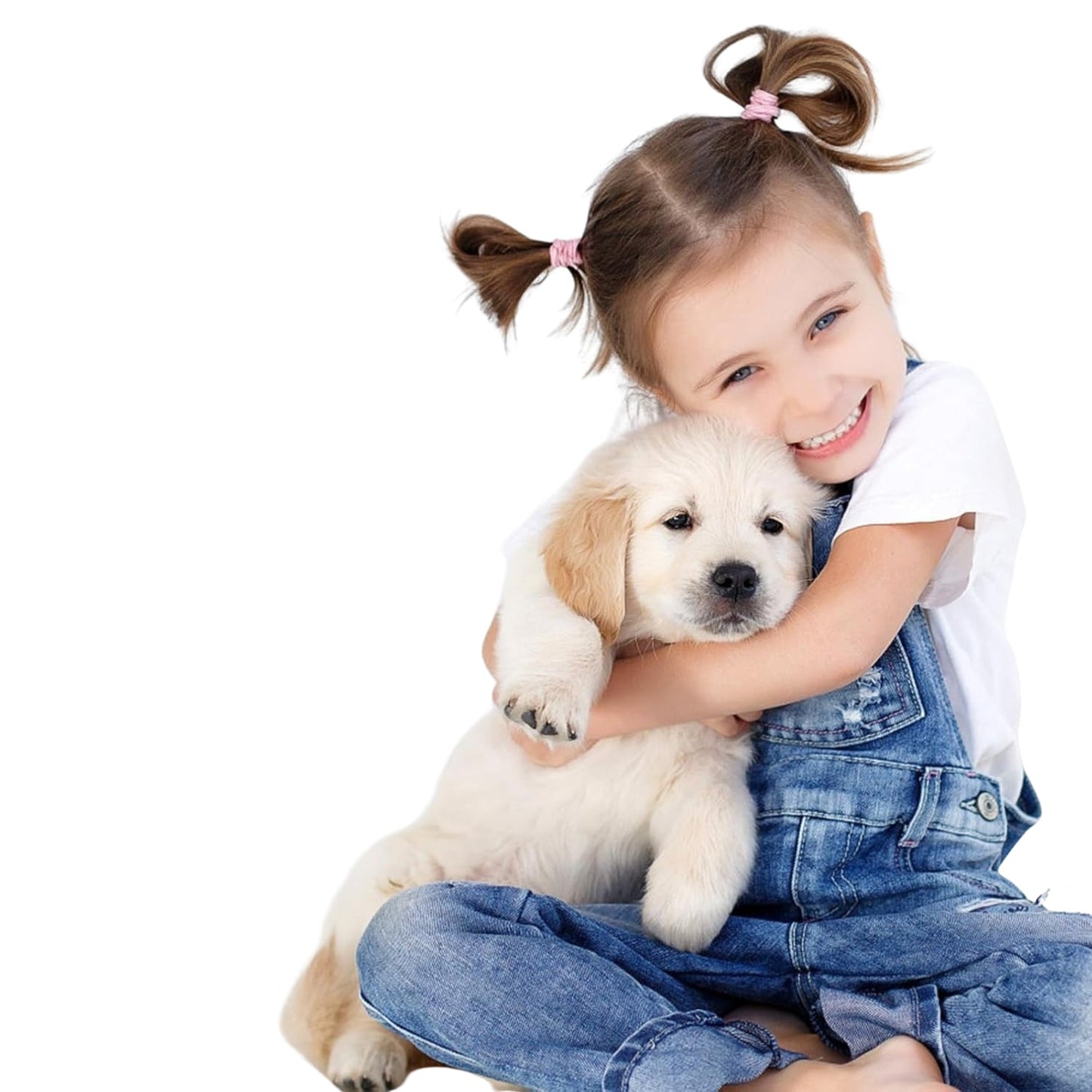 Pawmify™ - Advanced Dog Calming Diffuser