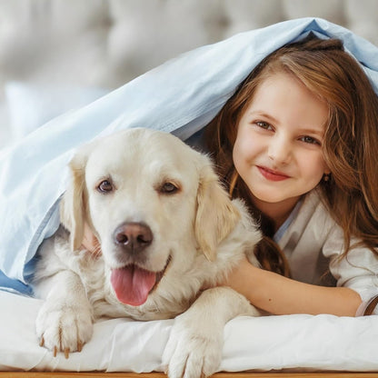 Pawmify™ - Advanced Dog Calming Diffuser