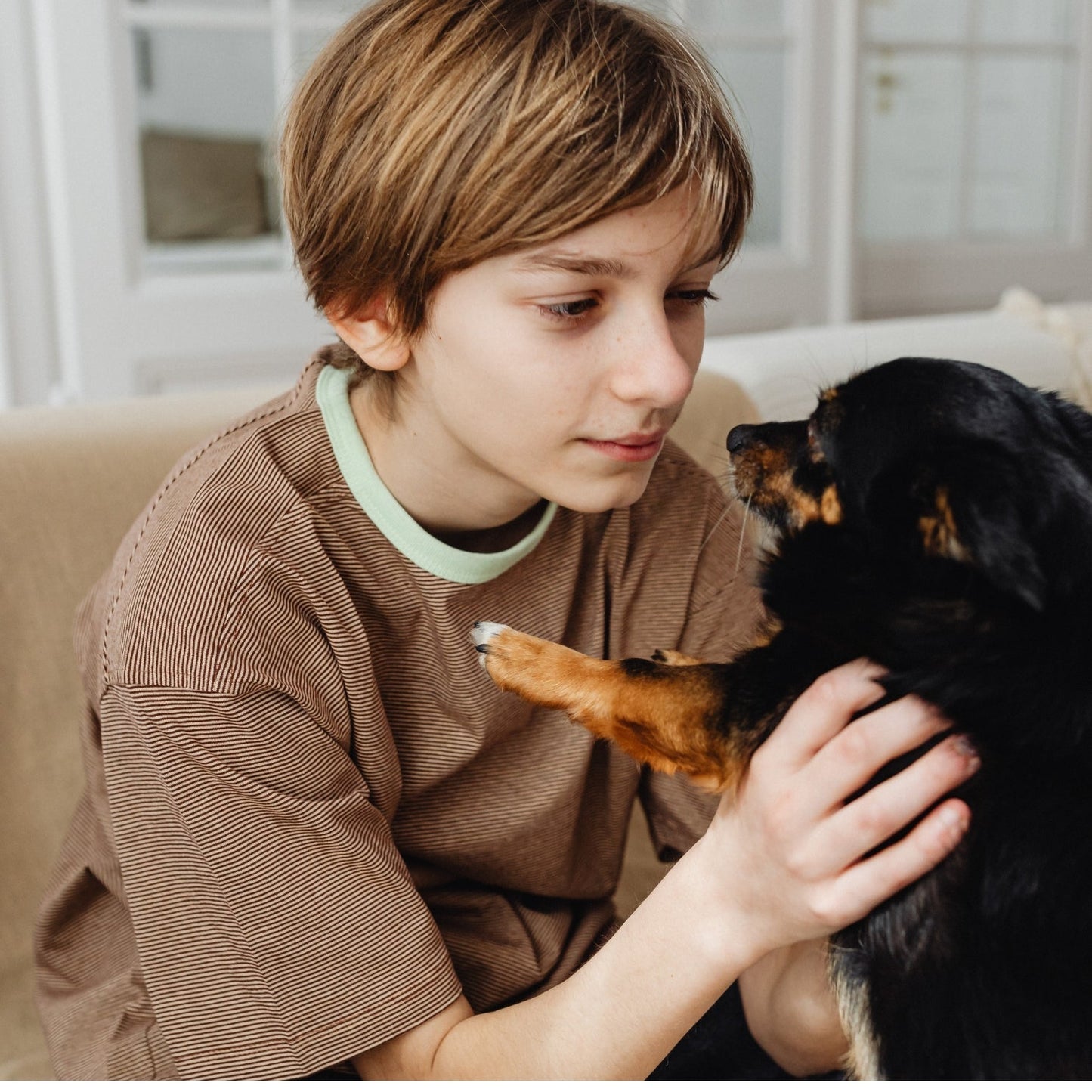 Pawmify™ - Advanced Dog Calming Diffuser
