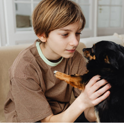 Pawmify™ - Advanced Dog Calming Diffuser